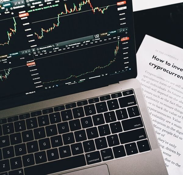 five stars stocks guide