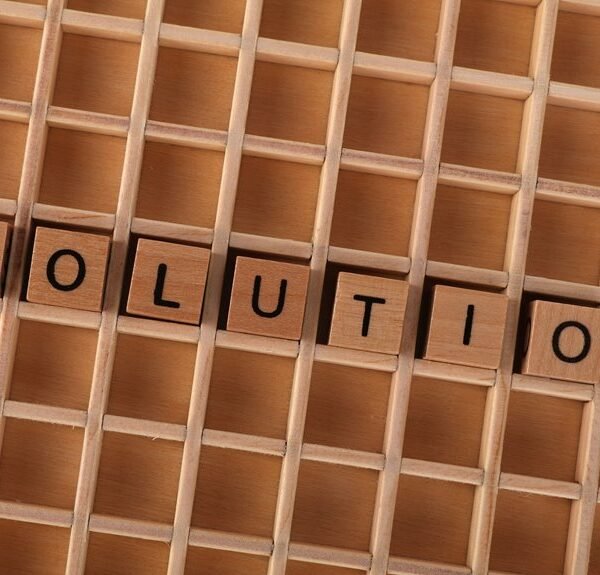approach to everyday problem solving